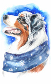 Зимний пес Цветной LC014