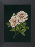 Roses on black  Lanarte PN-0008337