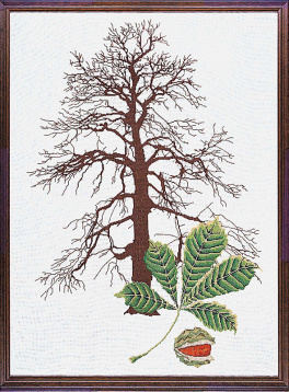 Каштановое дерево Thea Gouverneur 830, цена €60 - интернет-магазин Мадам Брошкина