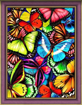 Яркие бабочки Алмазная живопись АЖ-1725, цена 1 518 руб. - интернет-магазин Мадам Брошкина