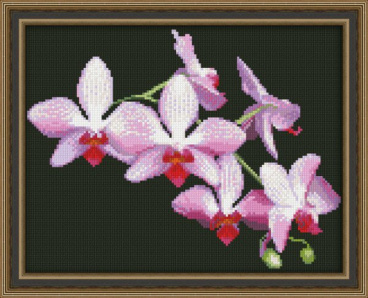 Ветка орхидеи Юнона 0116, цена $13 - интернет-магазин Мадам Брошкина