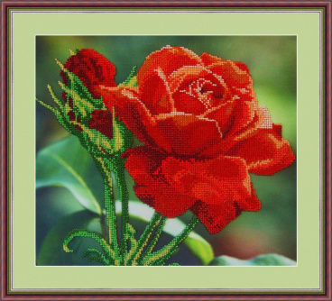 Красная роза Galla Collection Л 312, цена 1 980 руб. - интернет-магазин Мадам Брошкина