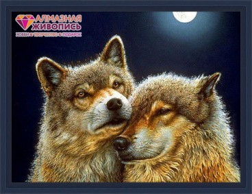 Волк и волчица Алмазная живопись АЖ.1200, цена 3 775 руб. - интернет-магазин Мадам Брошкина