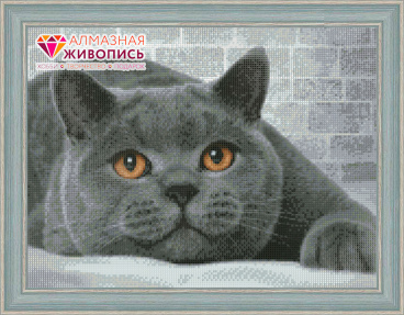 Британский кот Алмазная живопись АЖ.1463, цена 1 518 руб. - интернет-магазин Мадам Брошкина