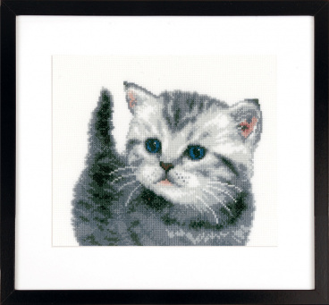 Серый котёнок Vervaco PN-0153747, цена 2 692 руб. - интернет-магазин Мадам Брошкина