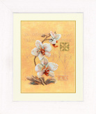 Three Orchids   Lanarte PN-0008008