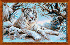 Бенгальский тигр Риолис 1184