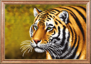 Тигр Магия канвы КС-055, цена 496 руб. - интернет-магазин Мадам Брошкина