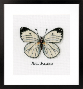 Белая бабочка Vervaco PN-0165233, цена 3 647 руб. - интернет-магазин Мадам Брошкина