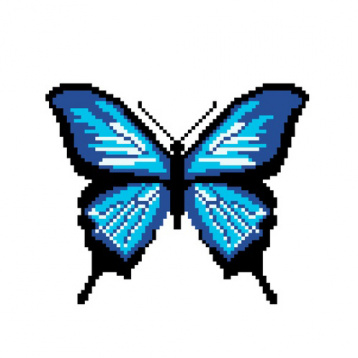 Синяя бабочка Нитекс 2394, цена 254 руб. - интернет-магазин Мадам Брошкина
