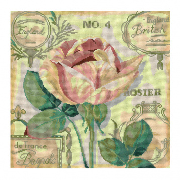 Английская роза Нитекс 0107, цена 1 206 руб. - интернет-магазин Мадам Брошкина