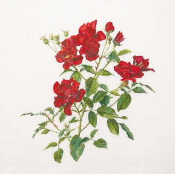 Пылкий Цветок Thea Gouverneur 411, цена 4 415 руб. - интернет-магазин Мадам Брошкина