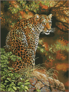 Взгляд леопарда Dimensions 35209, цена 6 306 руб. - интернет-магазин Мадам Брошкина
