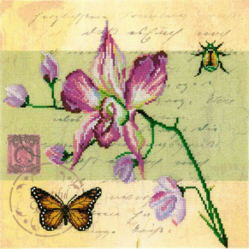 Почтовая открытка - Орхидея RTO М70017, цена 735 руб. - интернет-магазин Мадам Брошкина