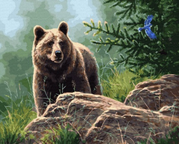 Сибирский бурый медведь Molly KK0714, цена 1 234 руб. - интернет-магазин Мадам Брошкина
