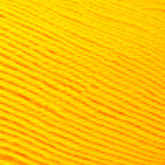 Пряжа Камтекс Лотос цв.104 желтый Камтекс КАМТ.ЛОТОС.104-2