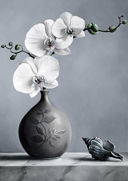 Белая орхидея Гpанни Ag4643, цена 1 682 руб. - интернет-магазин Мадам Брошкина