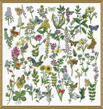 Красота Ботаники Design Works 3424, цена $52 - интернет-магазин Мадам Брошкина
