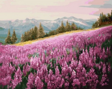 Розовое поле Цветной GX5784, цена 1 117 руб. - интернет-магазин Мадам Брошкина