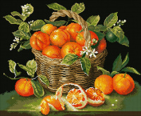 Сочные апельсины Паутинка М271