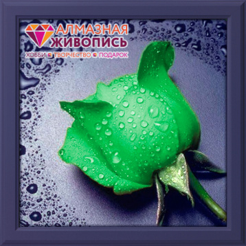 Зеленая роза Алмазная живопись АЖ.28, цена 920 руб. - интернет-магазин Мадам Брошкина