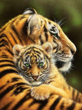 Тигрица с тигренком Алмазное хобби Ah51521, цена 1 426 руб. - интернет-магазин Мадам Брошкина