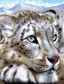 Снежный леопард Molly KK0695