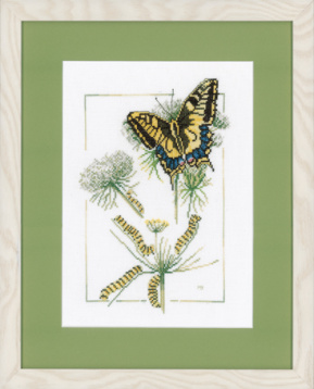 From Caterpillar to Butterfly   Lanarte PN-0021620, цена 3 323 руб. - интернет-магазин Мадам Брошкина