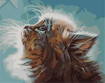 Котенок в мечтах Цветной MG2074, цена 1 497 руб. - интернет-магазин Мадам Брошкина