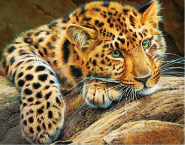 Африканский леопард Цветной LG020, цена 2 494 руб. - интернет-магазин Мадам Брошкина