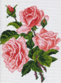 Розовые розы Матренин Посад 0560-1