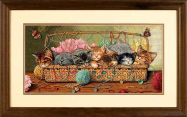 Новорожденные котята Dimensions 35184, цена 4 498 руб. - интернет-магазин Мадам Брошкина