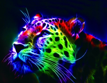 Неоновый леопард Цветной LG015, цена 2 494 руб. - интернет-магазин Мадам Брошкина