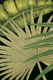 Пальмовые листья - 2 RTO M447