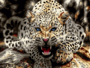 Леопард перед броском Цветной EX5818, цена 936 руб. - интернет-магазин Мадам Брошкина