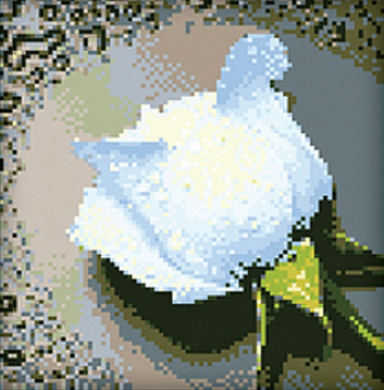 Белая роза Алмазная живопись АЖ.24, цена 1 015 руб. - интернет-магазин Мадам Брошкина