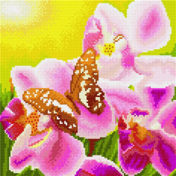 Бабочка и орхидея Империя бисера СК-305, цена 1 520 руб. - интернет-магазин Мадам Брошкина