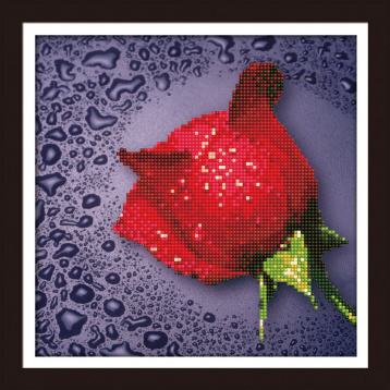 Красная роза Колор кит 80209, цена 1 332 руб. - интернет-магазин Мадам Брошкина