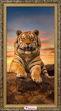 Довольный тигр Алмазная живопись АЖ.4142, цена 2 305 руб. - интернет-магазин Мадам Брошкина