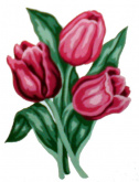 Тюльпаны Soulos 43.100