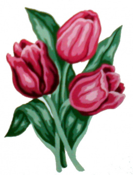 Тюльпаны Soulos 43.100, цена 345 руб. - интернет-магазин Мадам Брошкина