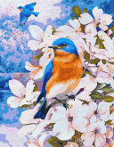 Весенние птички Цветной EX5943