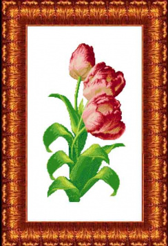 Тюльпаны Каролинка КК 410, цена 381 руб. - интернет-магазин Мадам Брошкина