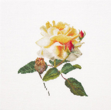 Цветение белой розы Thea Gouverneur 416, цена 3 913 руб. - интернет-магазин Мадам Брошкина