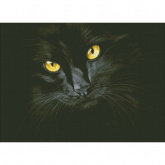 Черная кошка Паутинка М301