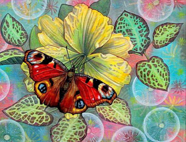 Бабочка Алмазная живопись АЖ.1204, цена €41 - интернет-магазин Мадам Брошкина