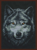 Взгляд волка Палитра 02.001