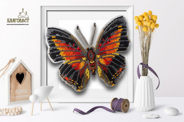 Бабочка Charaxes Zingha Благовест БС-026 3-D, цена 423 руб. - интернет-магазин Мадам Брошкина