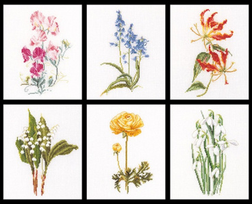 Шесть цветочных исследований Thea Gouverneur 3086, цена 5 800 руб. - интернет-магазин Мадам Брошкина