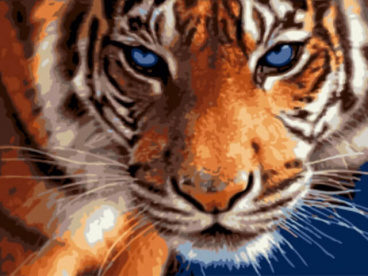 Взгляд тигра Цветной EX5808, цена 1 073 руб. - интернет-магазин Мадам Брошкина